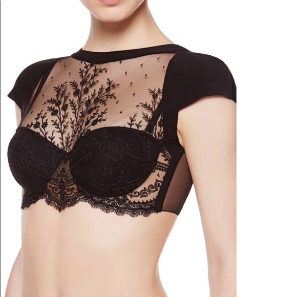 top of the lingerie line